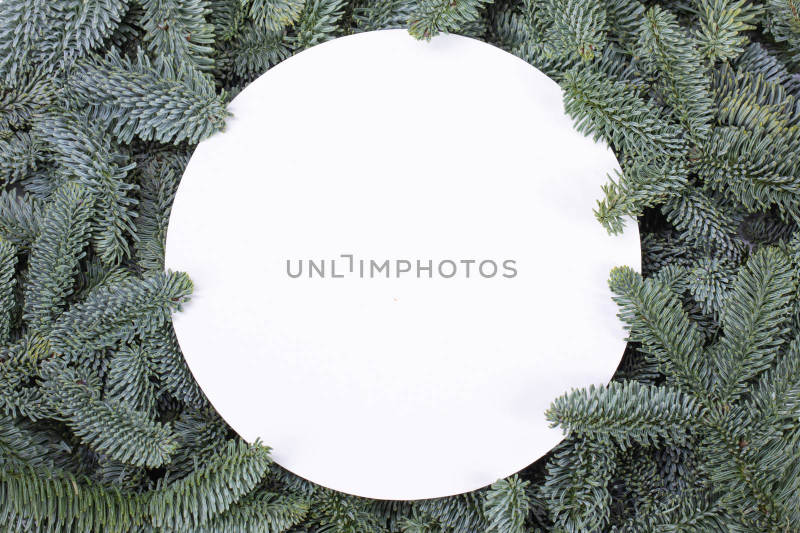 Natural fir Christmas tree round border frame isolated on white , copy space for text