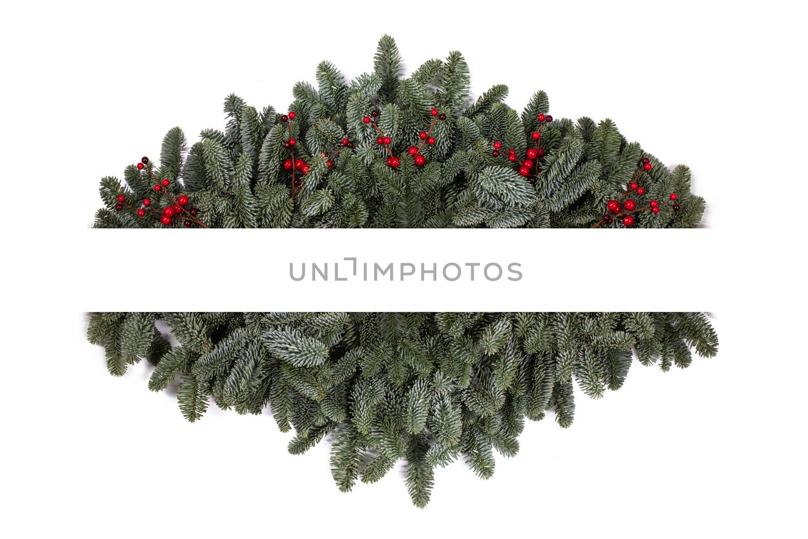 Christmas card with copy space and decor of fir tree branch red holly berry isolated on white background