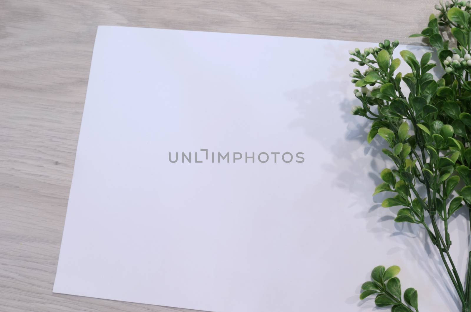 Mockup card with plants. invitation card with environment and details Mockup with postcard and flowers on white background by lucia_fox