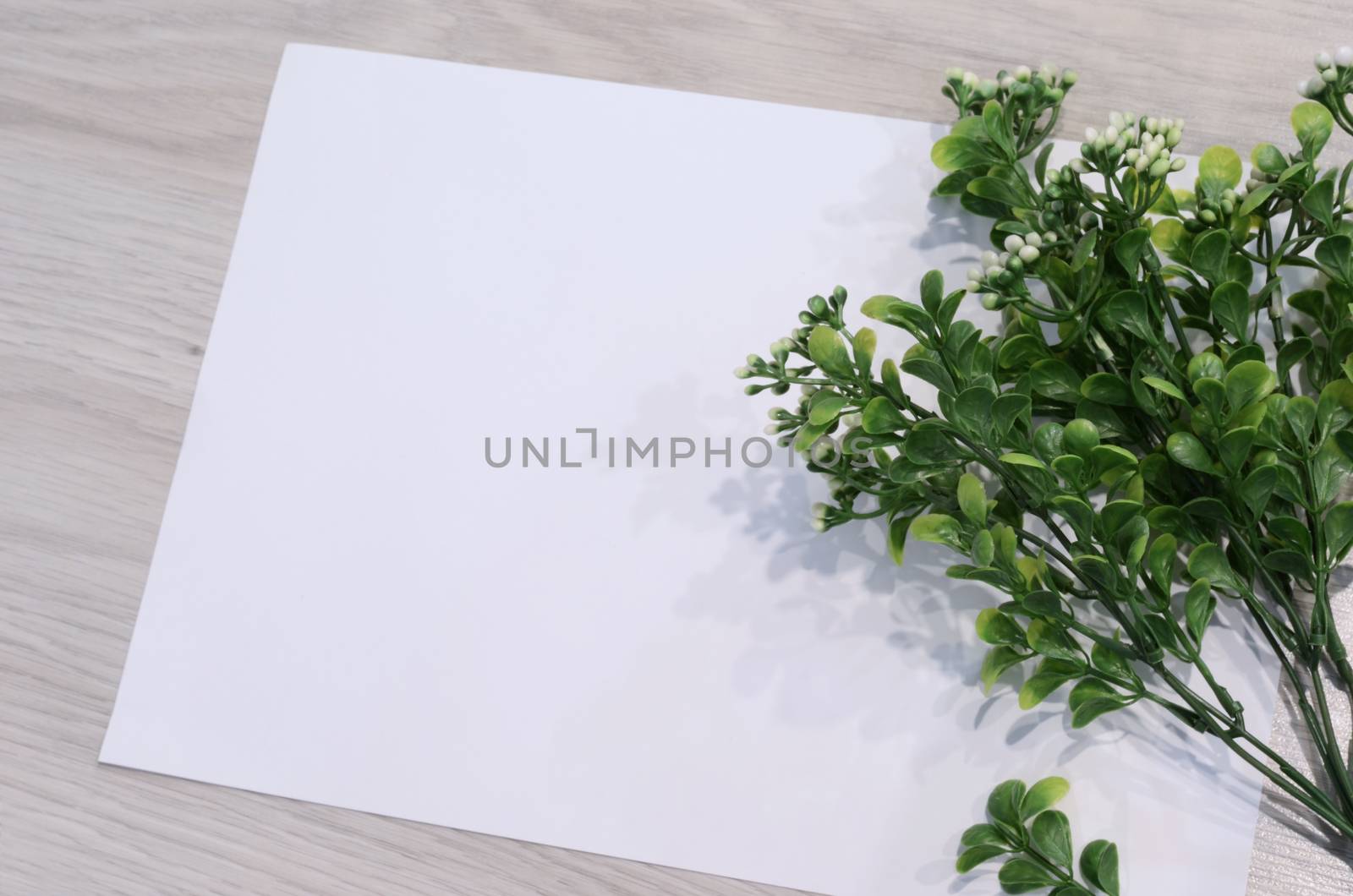 Mockup card with plants. invitation card with environment and details Mockup with postcard and flowers on white background by lucia_fox