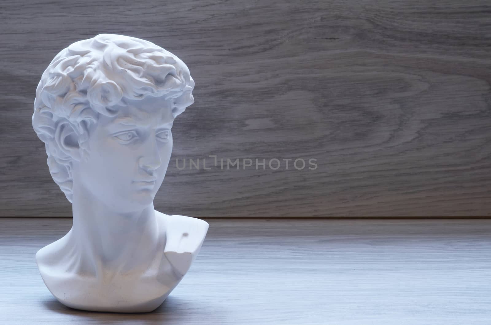 Head of a famous statue by Michelangelo - David from Florence.