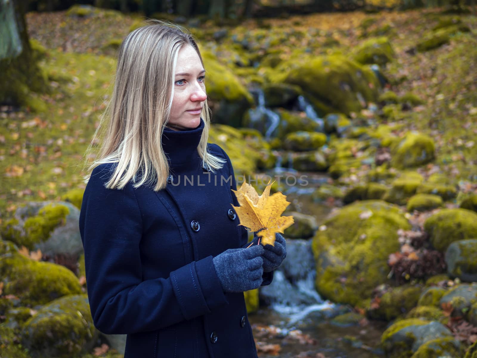 Young woman picks up fallen colorful autumn leaves. Girl collect yellow leaf. woman walking in the autumn Park