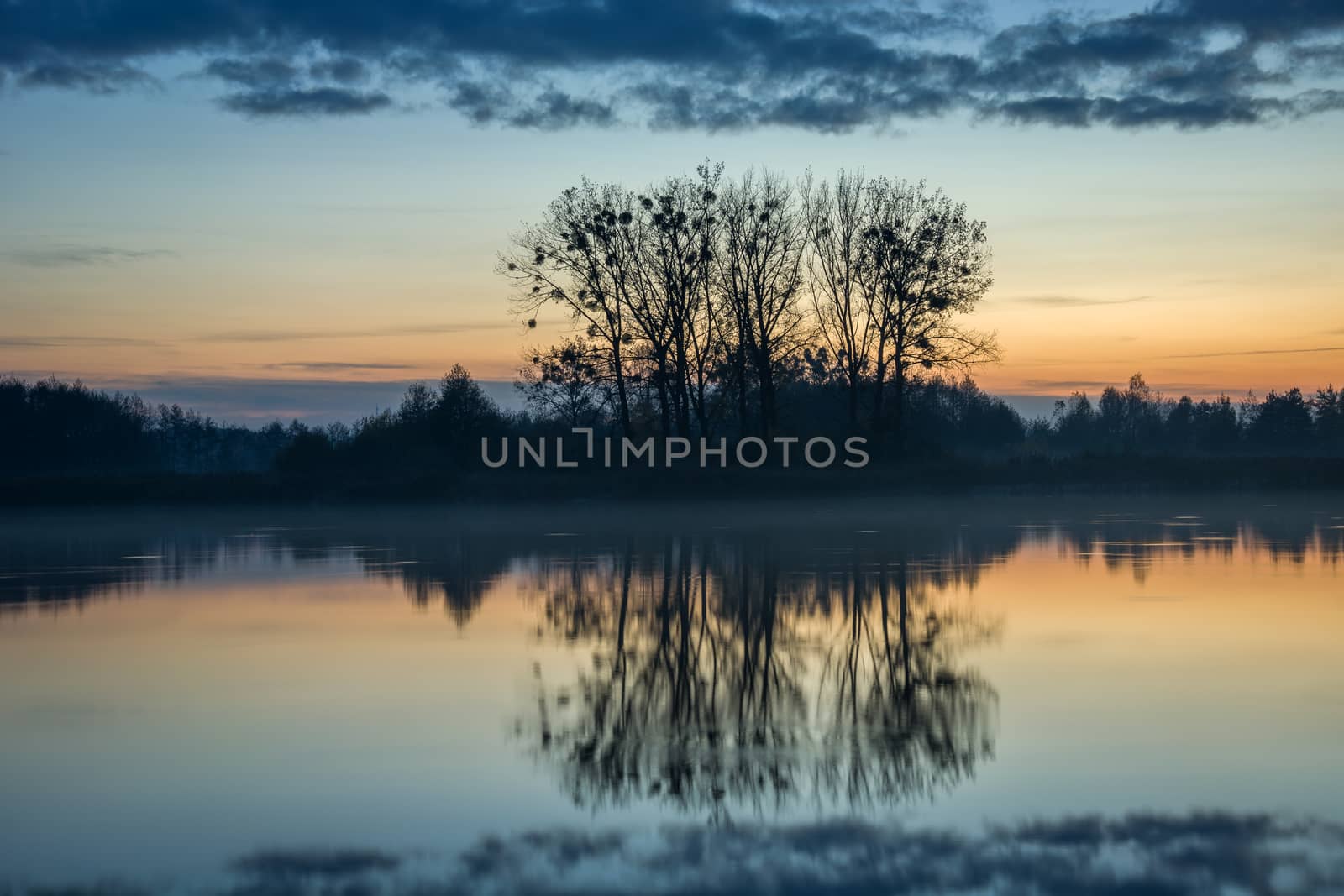 Trees on the shores of a calm lake, fog and clouds, view after sunset