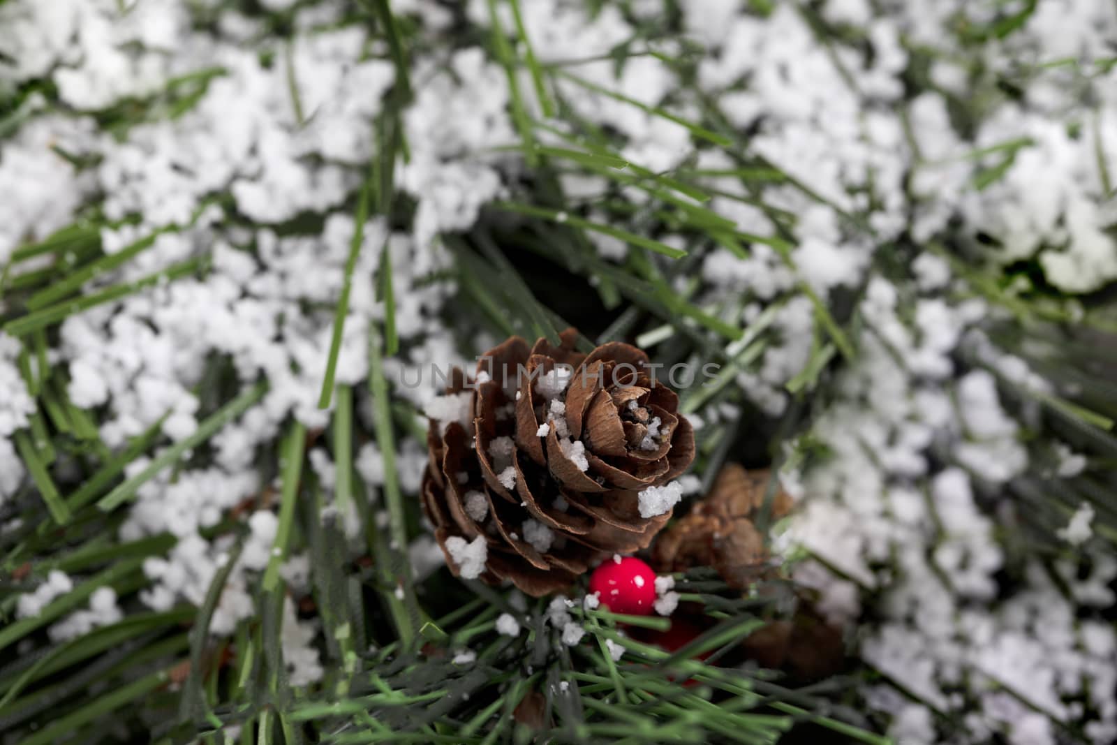 Snow covered pine cone for the Christmas holidays in closeup vie by tab1962