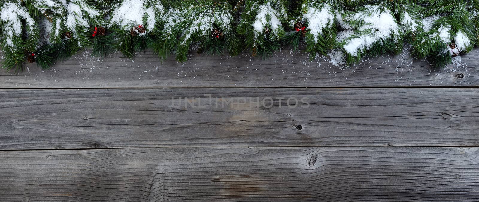 Merry Christmas concept on rustic natural wooden background with snow covered Fir branches with plenty of copy space   