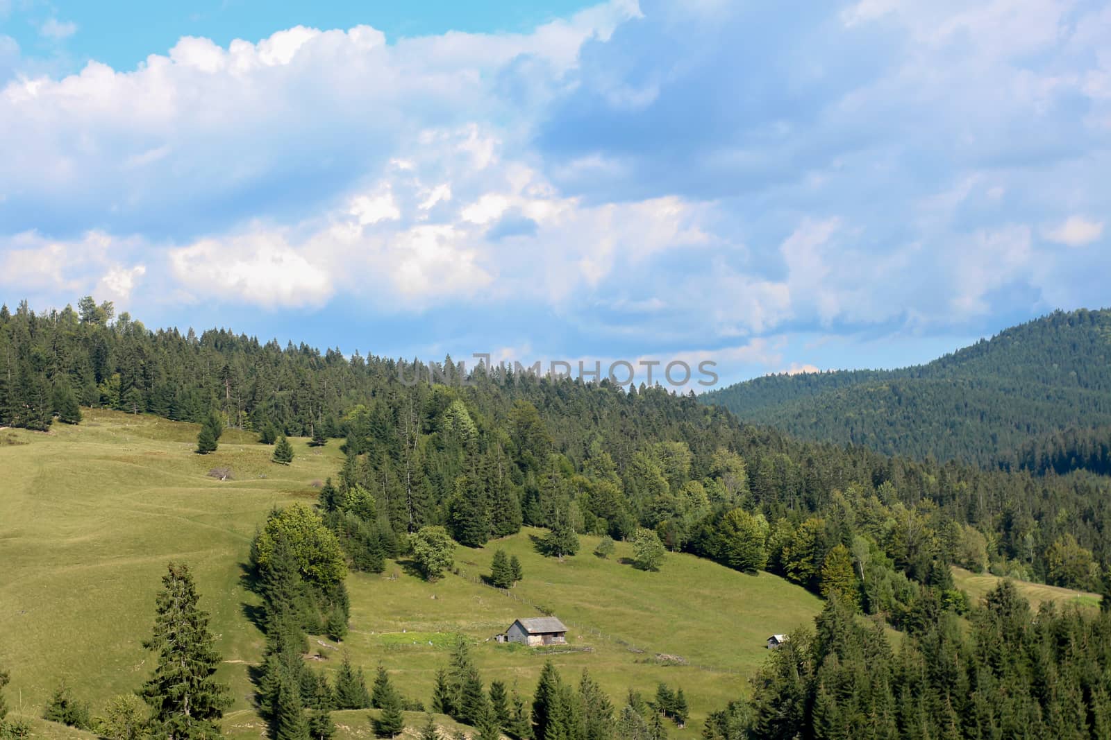 Mountains with forest and house in a cloudy day by codrinn