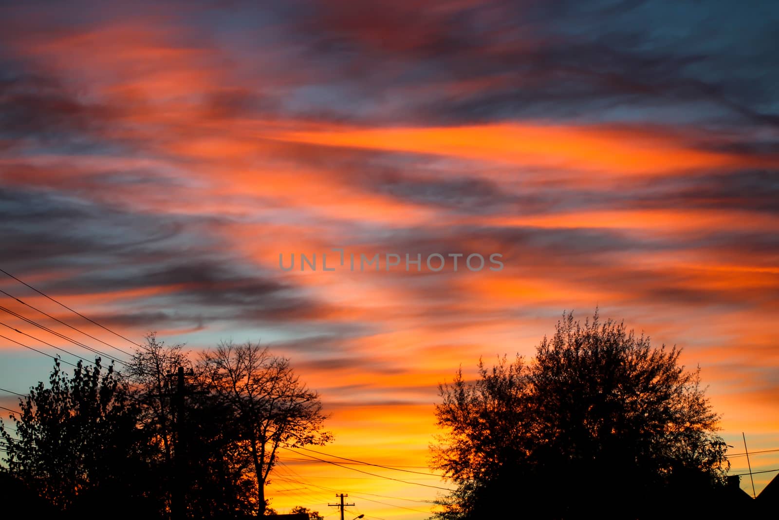 Fire sunset with hazy clouds and backlit tree