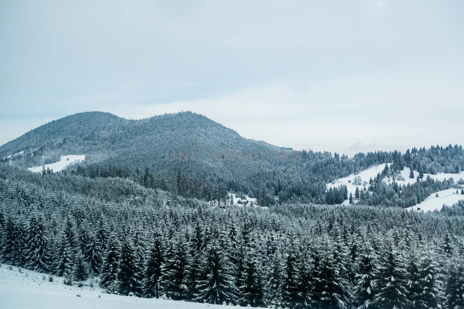 Landscape of mountains and forest during winter in Romania heavy snow