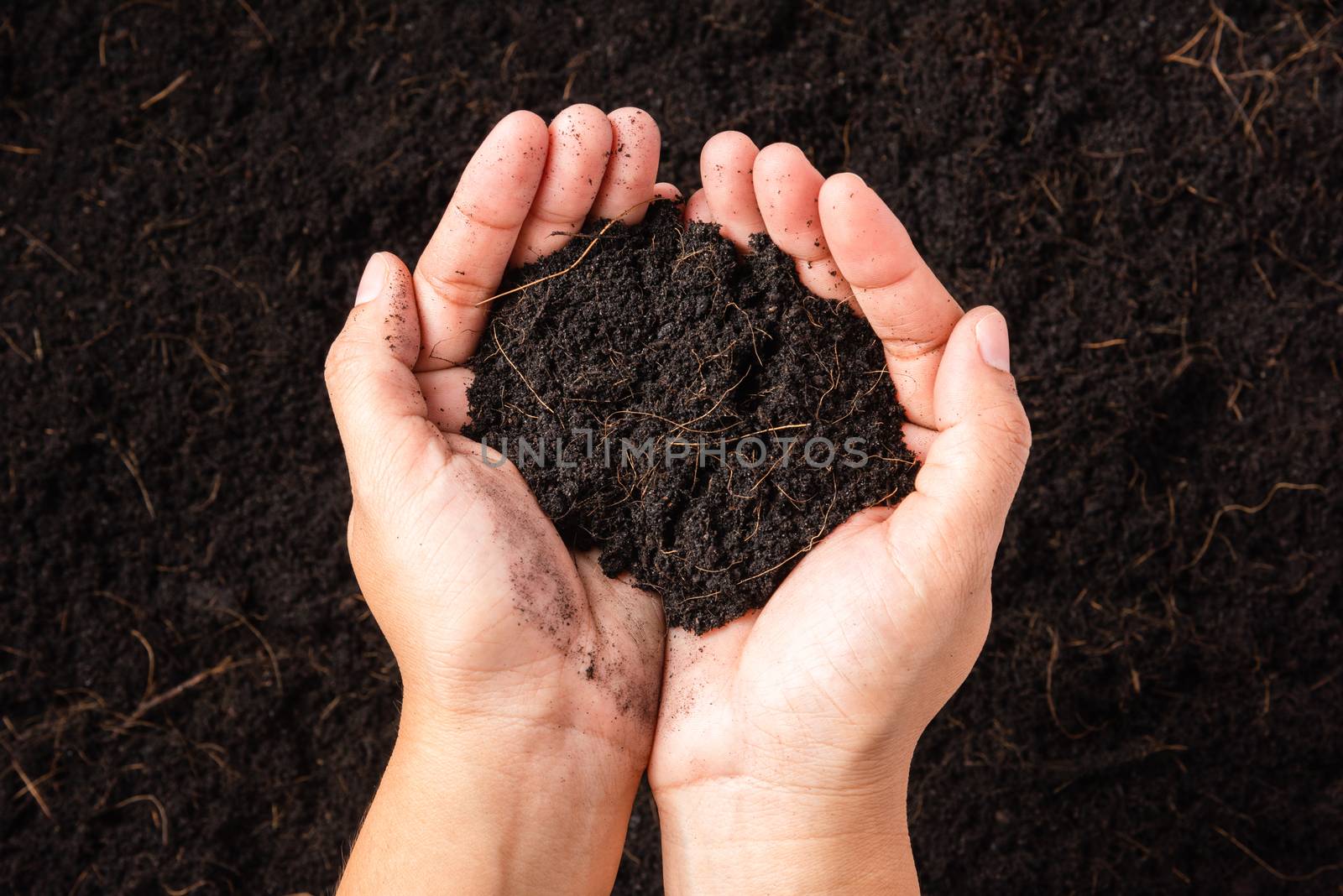 woman hand holding compost fertile black soil background by Sorapop