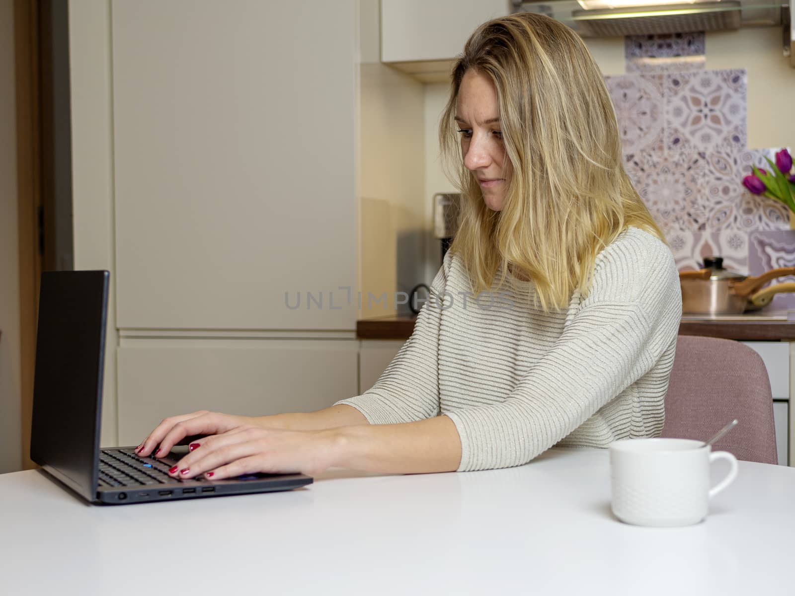 Woman Working At Home On Laptop Computer
