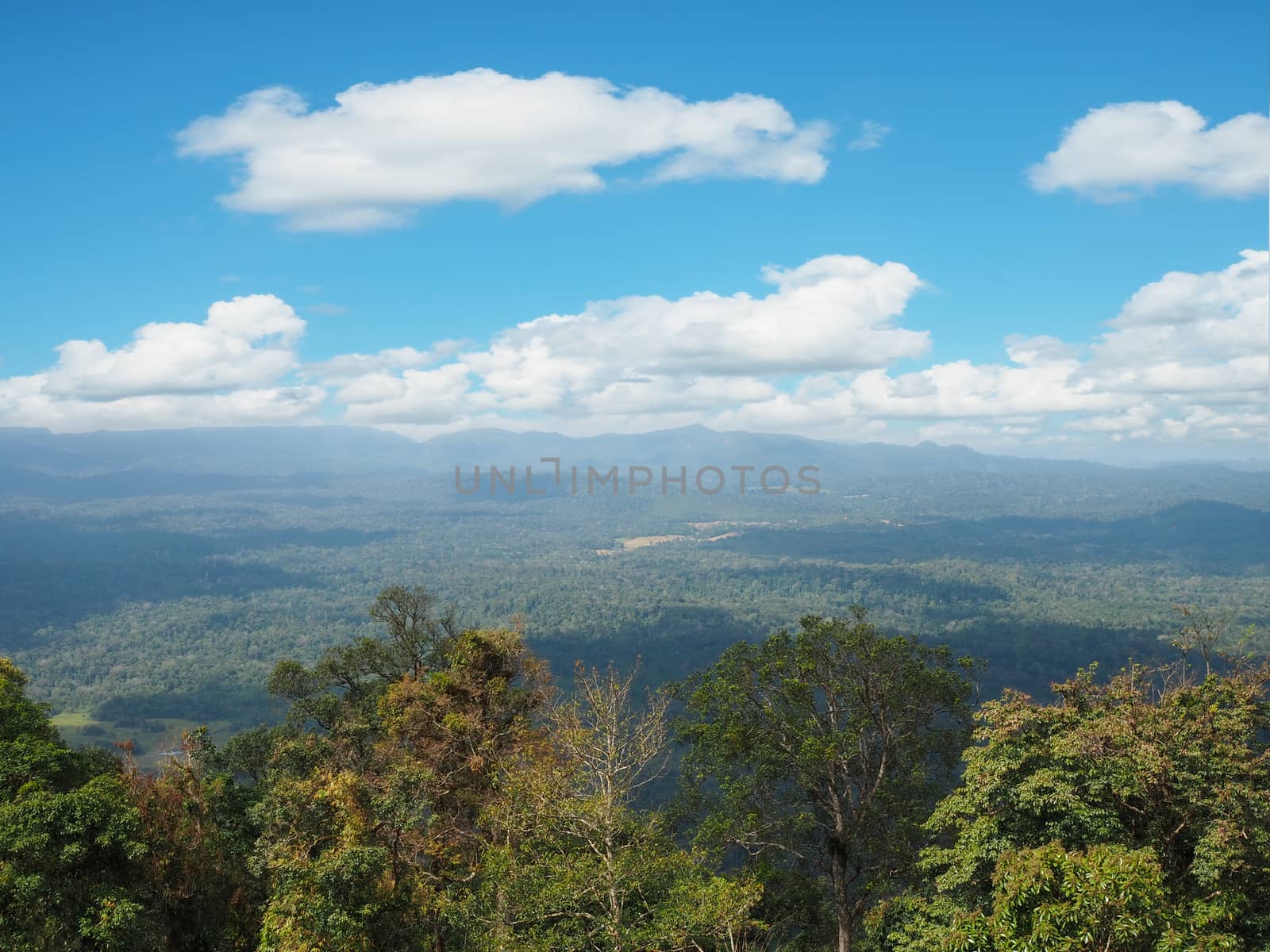 Forest and mountain views On the background is the sky with white clouds.