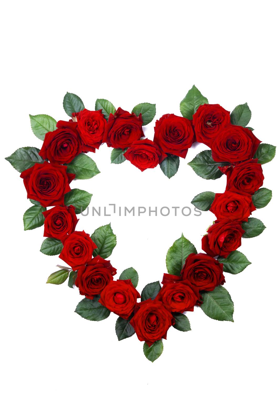 Red roses border frame in heart shape isolated on white background, Valentine's Day