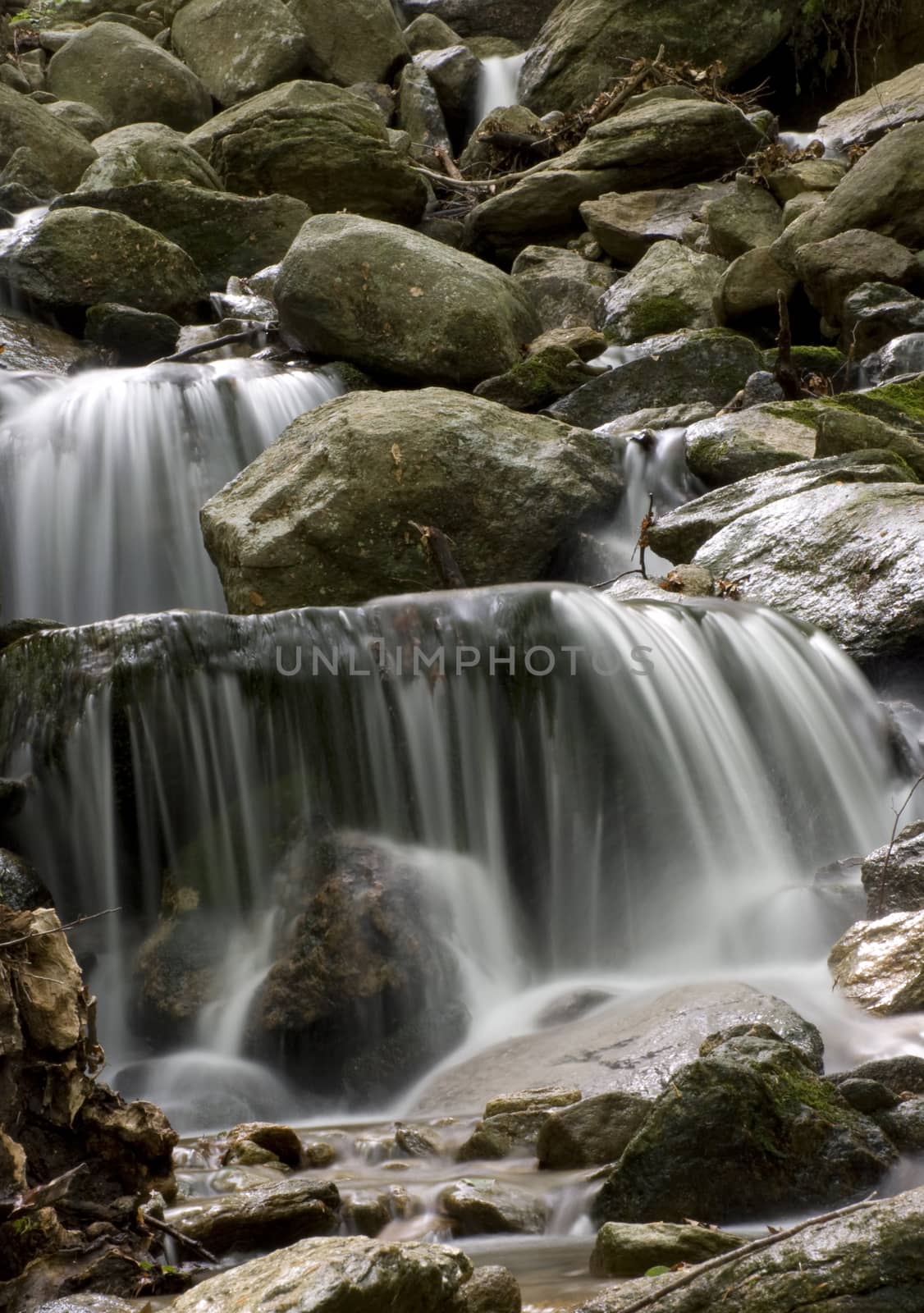 L'acqua  scende dalla piccola cascata nel bosco