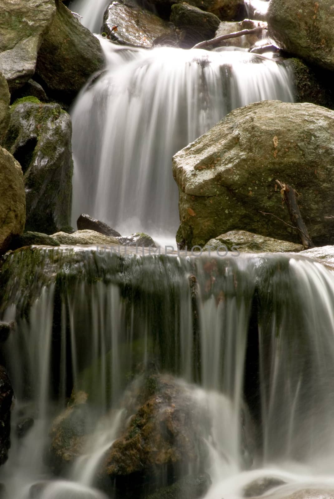 L'acqua  scende dalla piccola cascata nel bosco