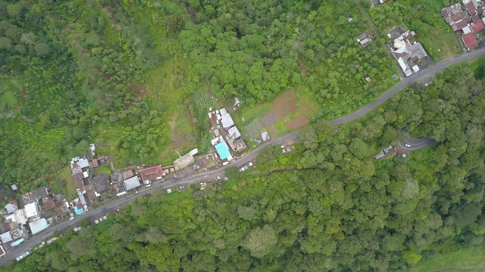 Green Bali landscape. Aerial drone top view to road and trees in the north of Bali island. Indonesia.