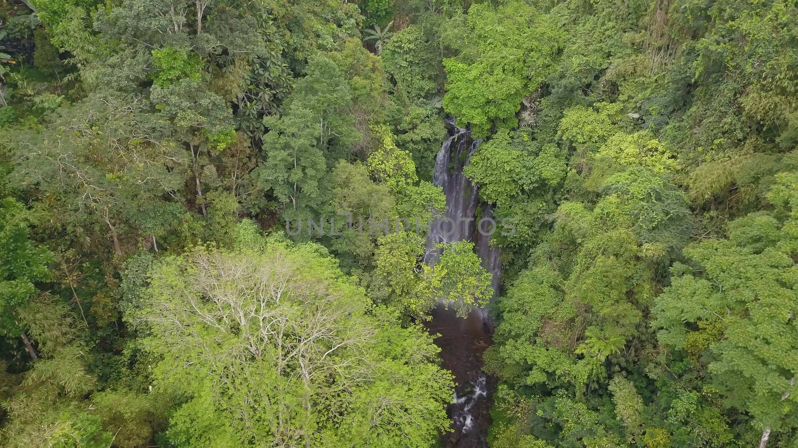 Aerial View of forest and river towards Labuhan Kebo Waterfall located in Munduk, Bali by Sanatana2008