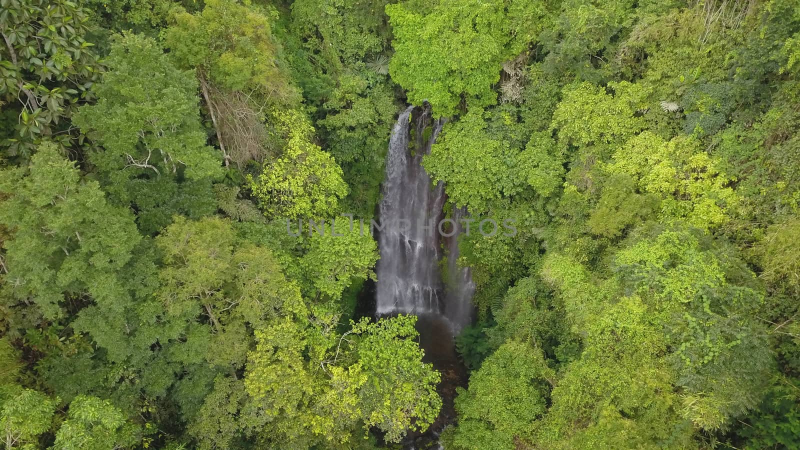 Aerial View of forest and river towards Labuhan Kebo Waterfall located in Munduk, Bali by Sanatana2008