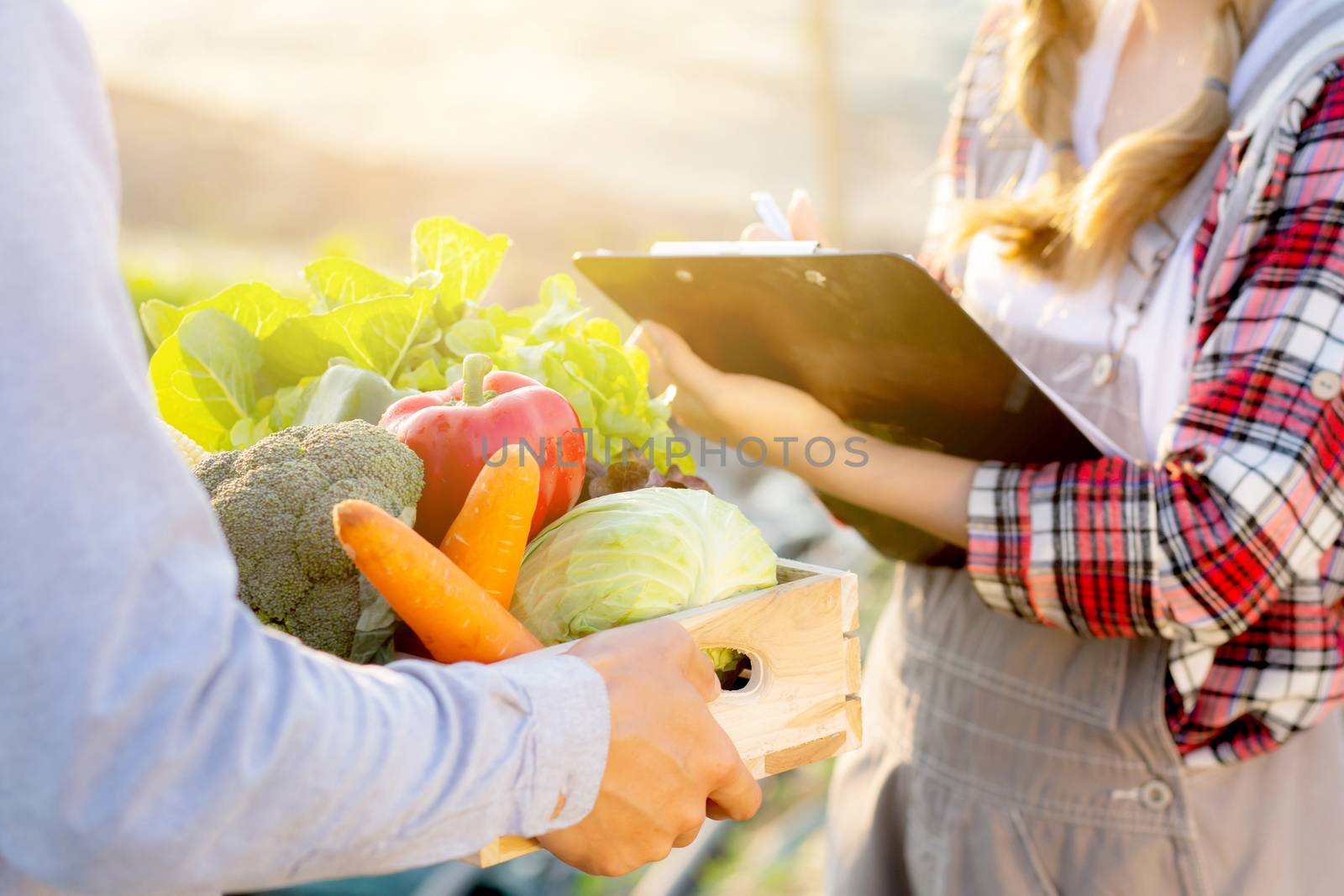 Young asian woman checking vegetable organic hydroponic farm and man harvest picking up fresh vegetable, girl writing record document grow of leaf for quality produce, small business own concept.
