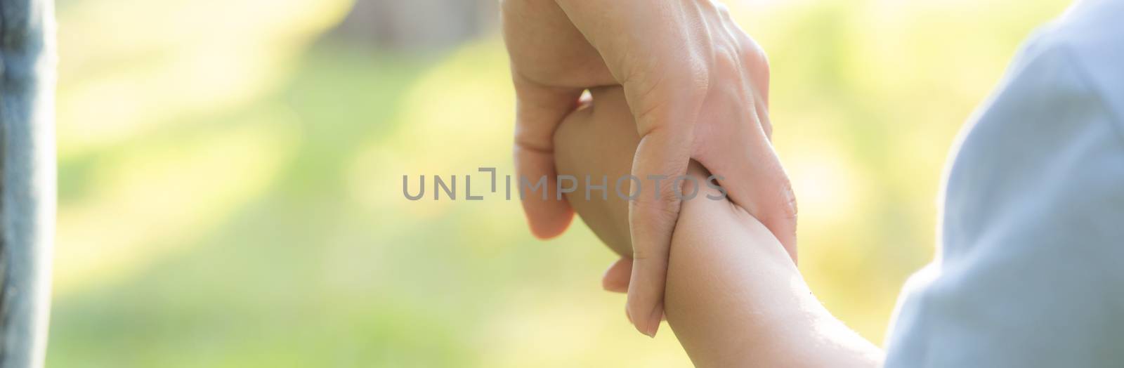 Closeup mother or parent and son holding hand with love together in summer outside in the park, mom take care kid holding palm, child have a trust for mother, family concept, banner website.