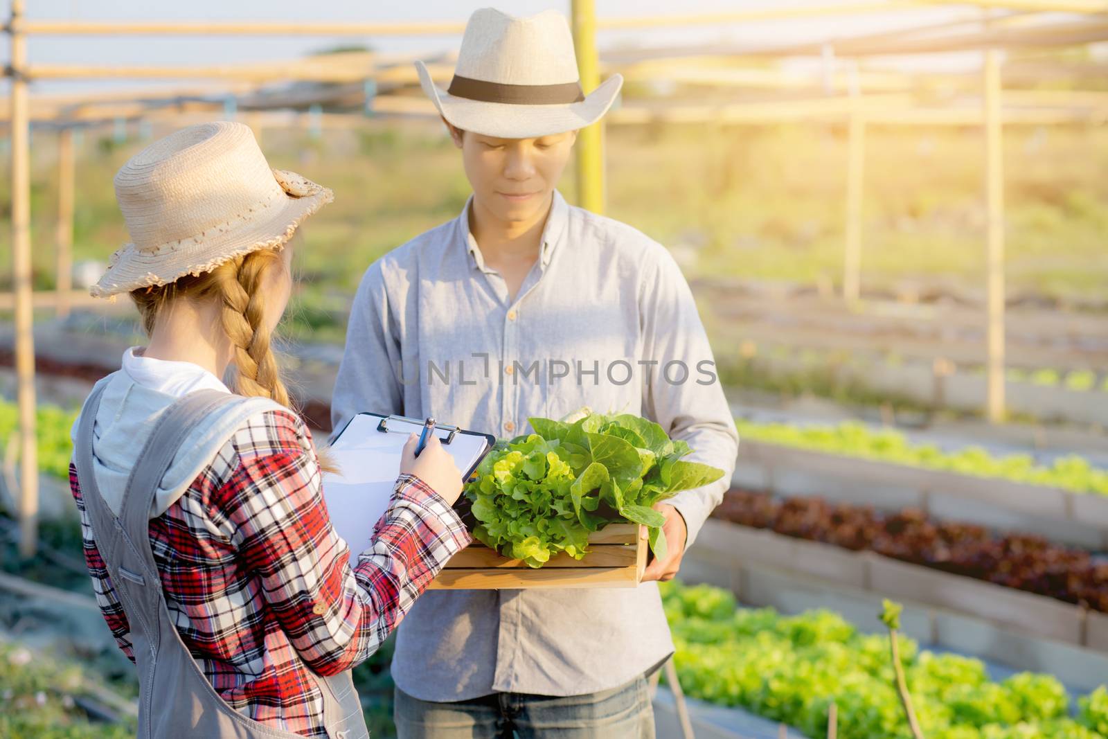 Young asian woman checking vegetable organic hydroponic farm and man harvest picking up fresh vegetable, girl writing record document grow of leaf for quality produce, small business owner concept.