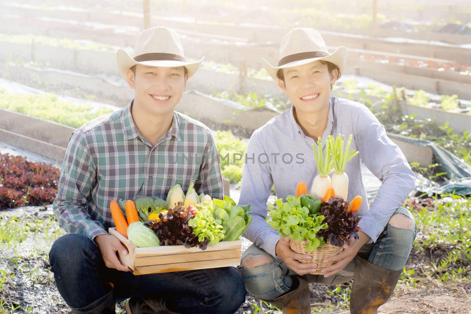 Beautiful portrait young two man harvest and picking up fresh or by nnudoo