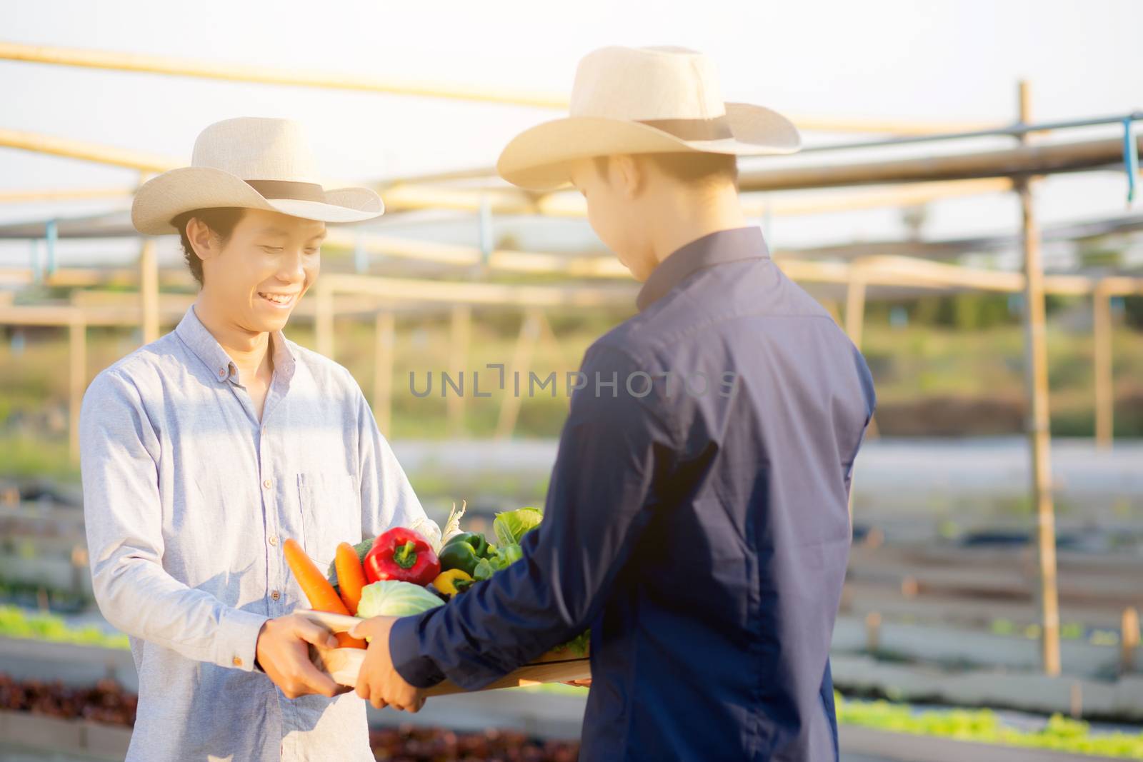 Two young asian man picking up fresh organic vegetable with basket together in the hydroponic farm beautiful, harvest and agriculture and cultivation for healthy food and business concept.