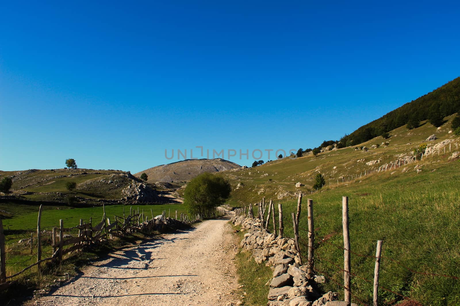 Mountain road that leads to the old Bosnian village of Lukomir. The road is surrounded by stone with wooden pillars connected by barbed wire. Bjelasnica Mountain, Bosnia and Herzegovina.