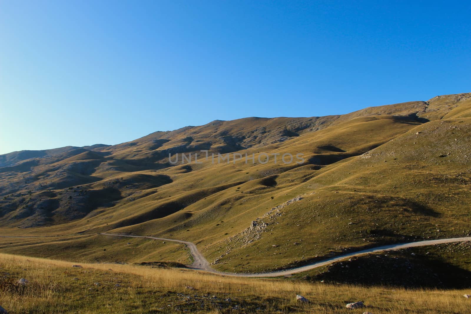 Road through the unevenness of the Bosnian mountain Bjelasnica. It has a golden color before sunset. by mahirrov