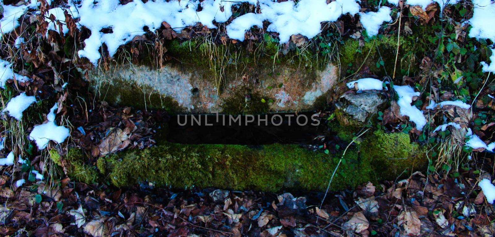 Watering can for cattle. A stone trough where there is water that is overgrown with moss. It is winter and there is snow all around. Zavidovici, Bosnia and Herzegovina.