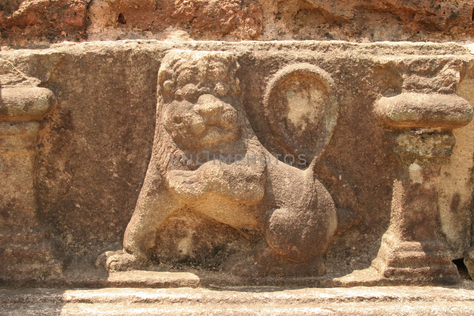 Polonnaruwa Sri Lanka Ancient ruins wall carving of lion by kgboxford