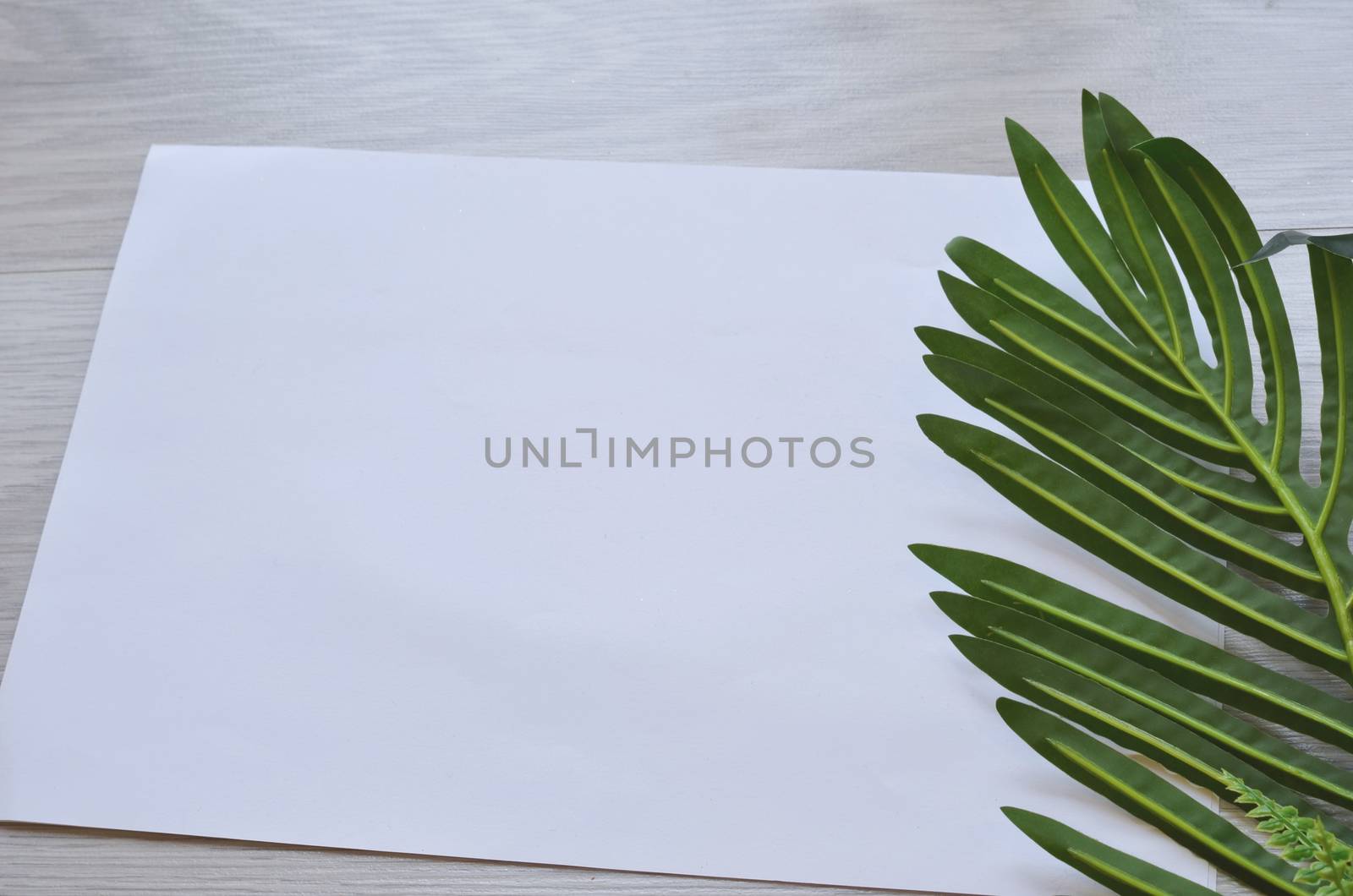 Mockup card with plants. invitation card with environment and details Mockup with postcard and flowers on white background.