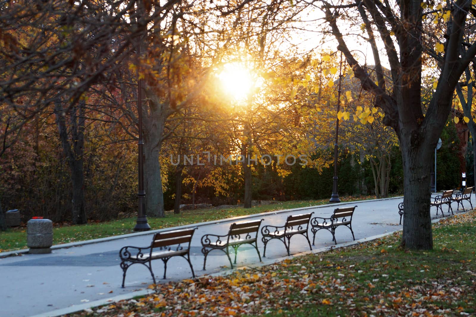 sunset in autumn park with empty benches.
