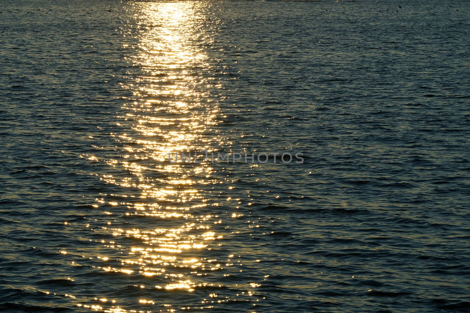 the setting sun is reflected in the water.