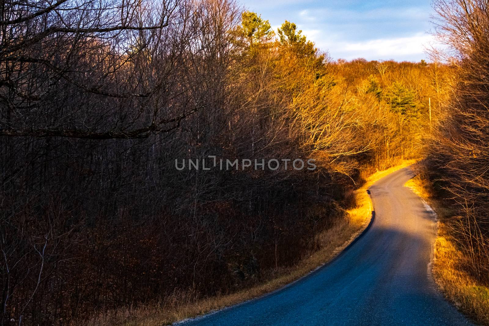 A rural road bends through the countryside, surrounded by the trees of a forest in autumn.