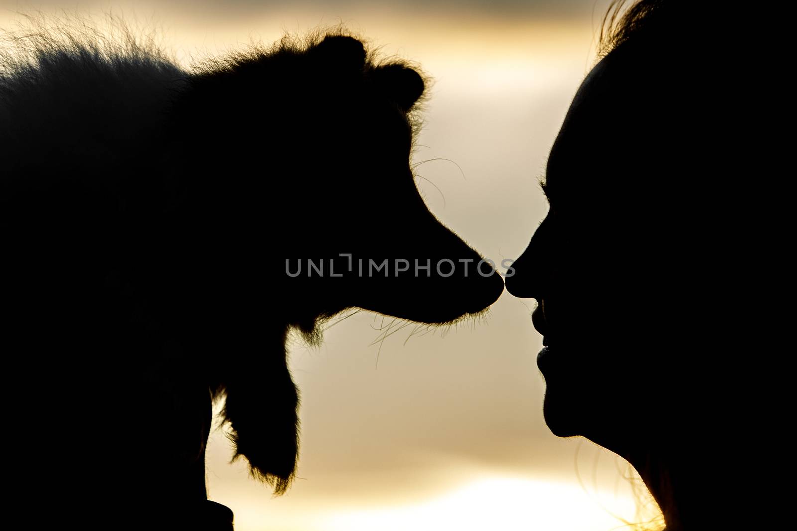 Woman and dog silhouettes on sunset clouds. by 9parusnikov