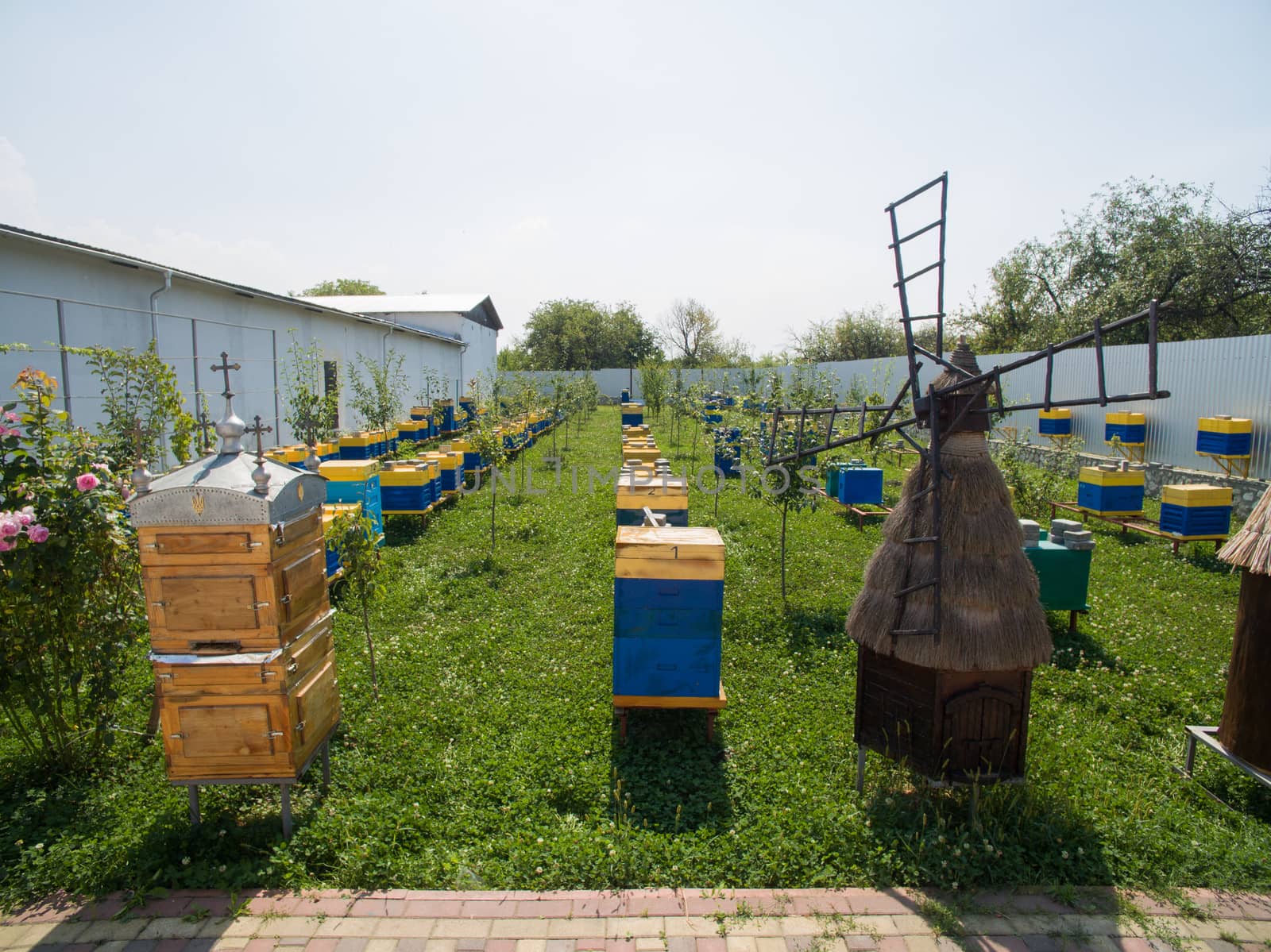 Great Apiary. Industrial beekeeping with honey bees. by TrEKone