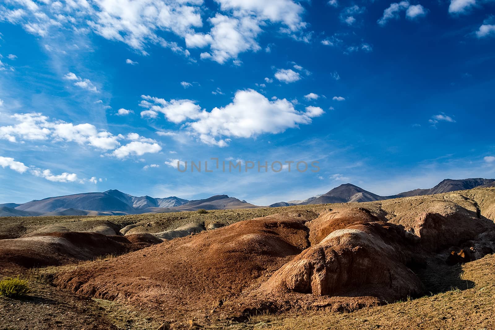 The altai mountains. The landscape of nature on the Altai mountains and in the gorges between the mountains.