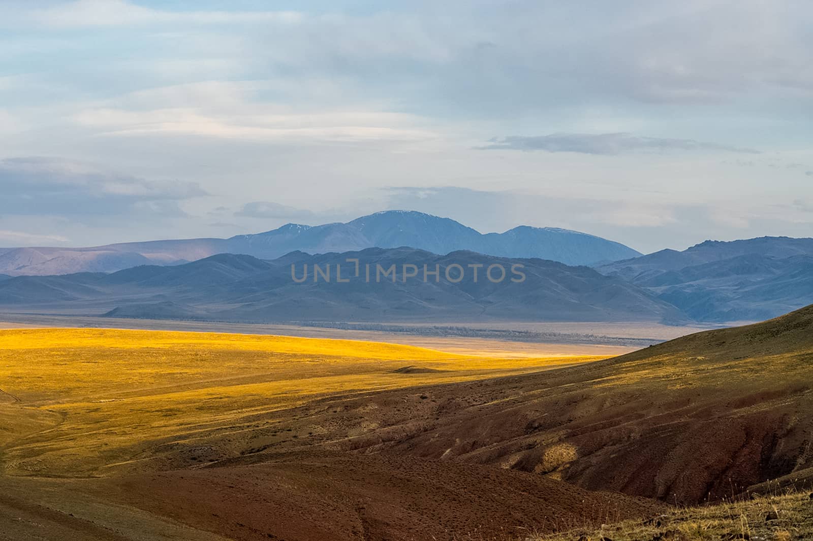 The altai mountains. The landscape of nature on the Altai mountains and in the gorges between the mountains.