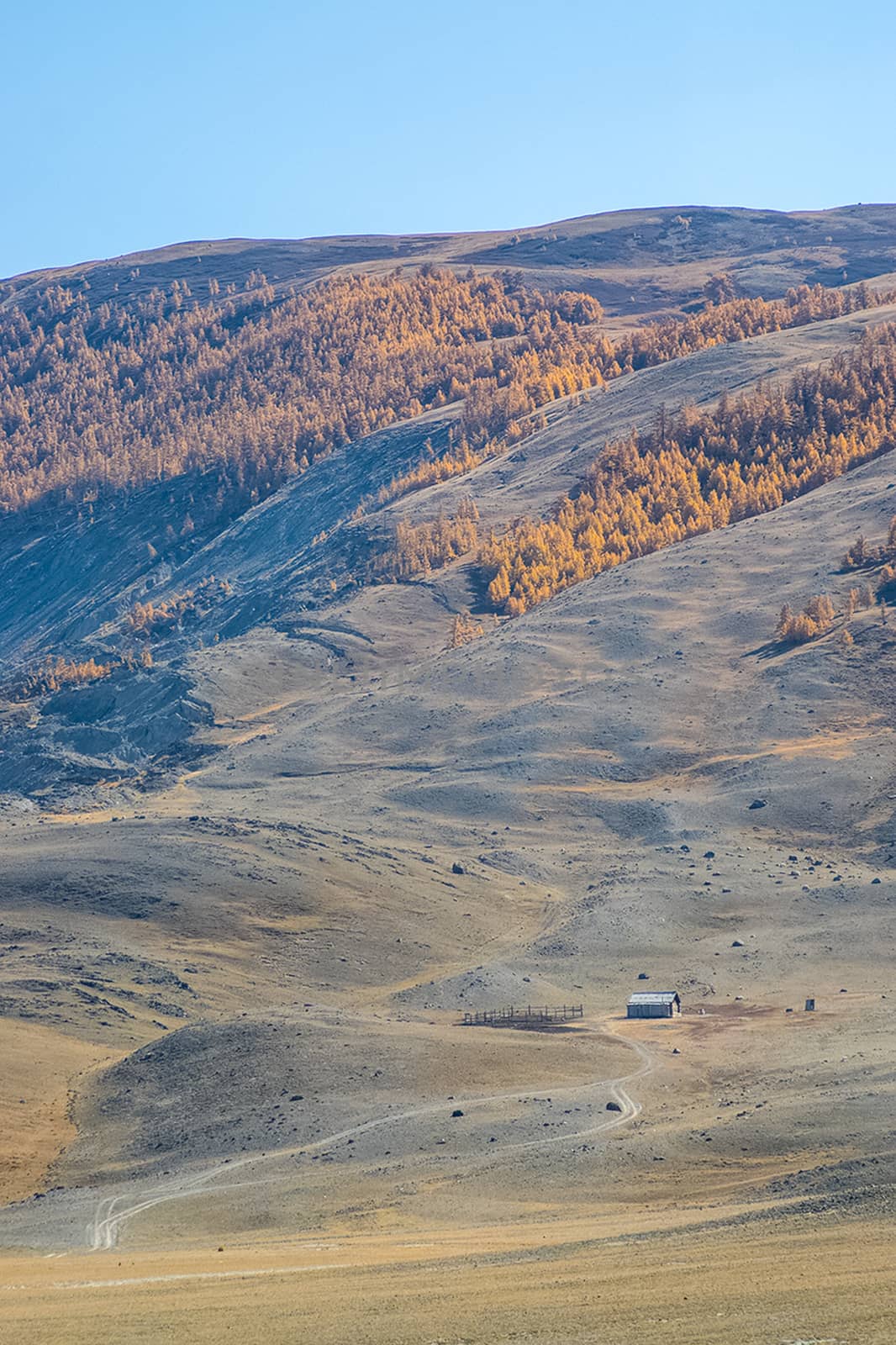 The altai mountains. landscape of nature on the Altai mountains and in the gorges between the mountains. by DePo