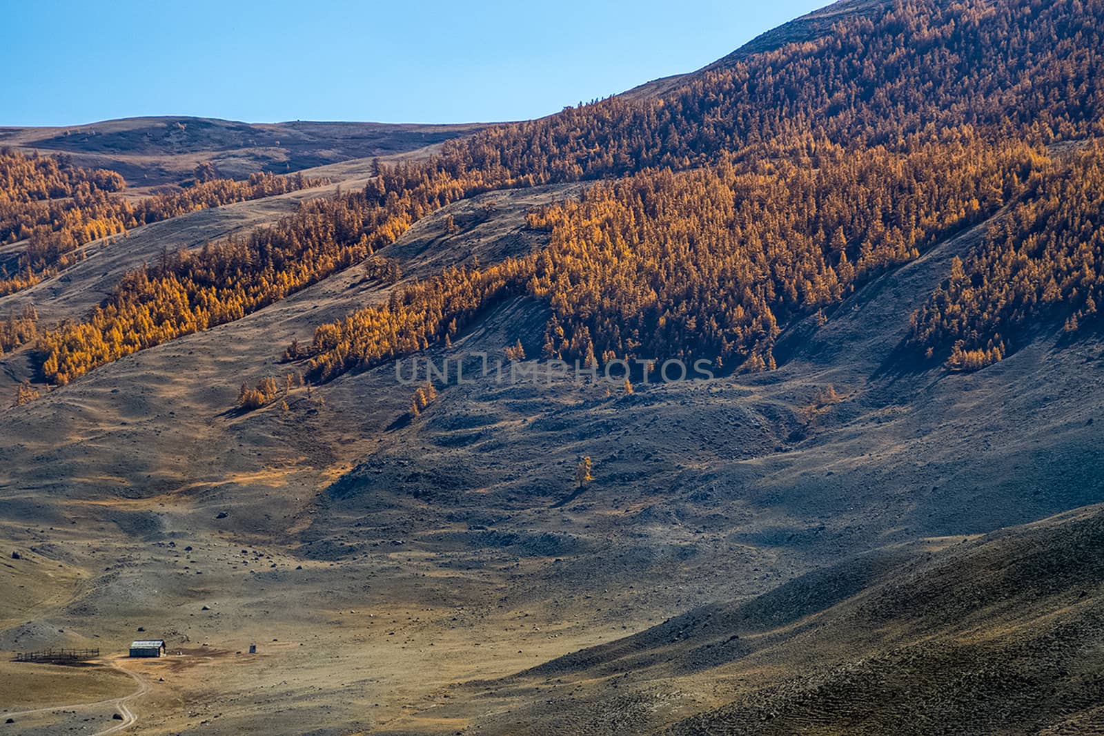 The altai mountains. The landscape of nature on the Altai mountains and in the gorges between the mountains.