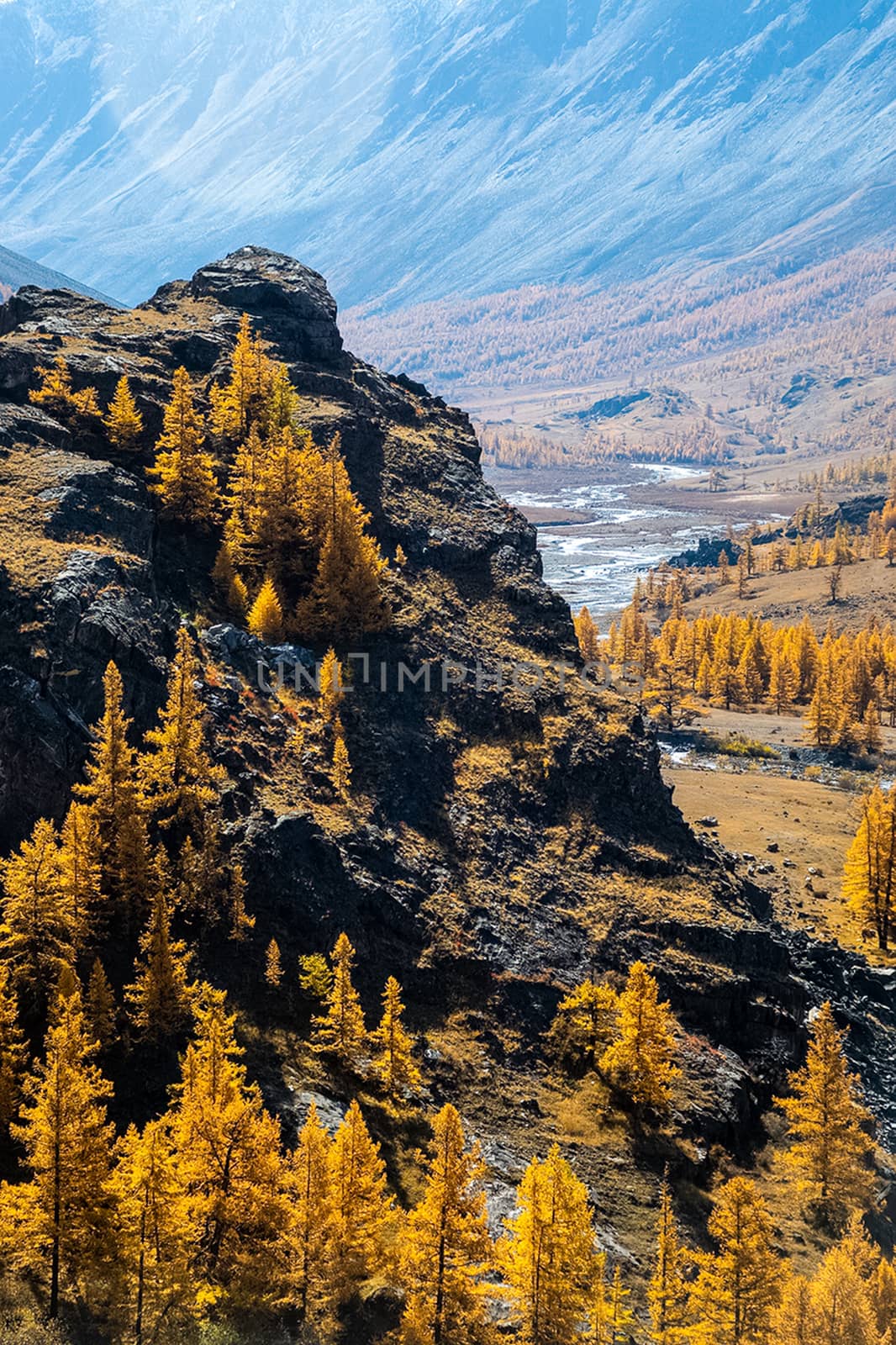 The altai mountains. The landscape of nature on the Altai mountains and in the gorges between the mountains.