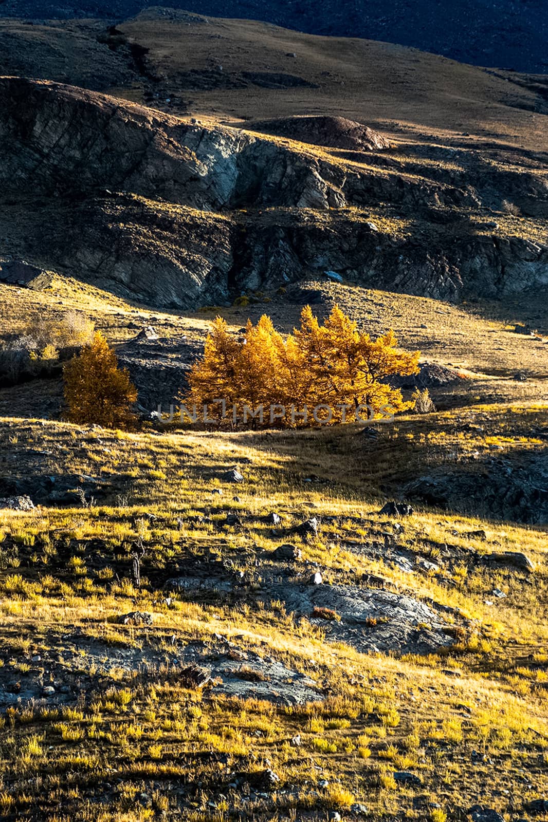 The altai mountains. The landscape of nature on the Altai mountains and in the gorges between the mountains.