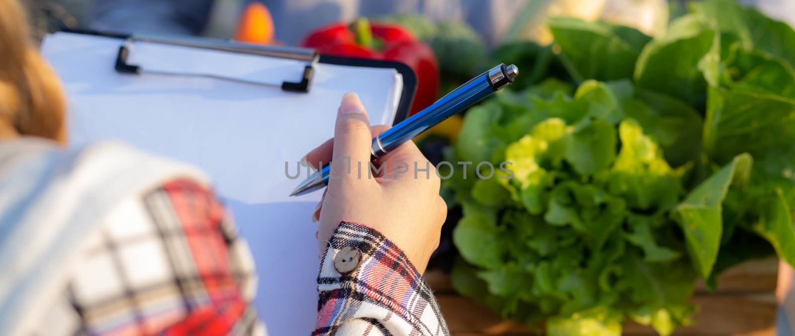 Young asian woman checking vegetable organic hydroponic farm and by nnudoo