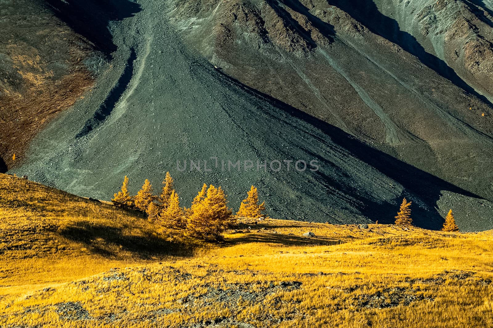 The altai mountains. The landscape of nature on the Altai mountains and in the gorges between the mountains.