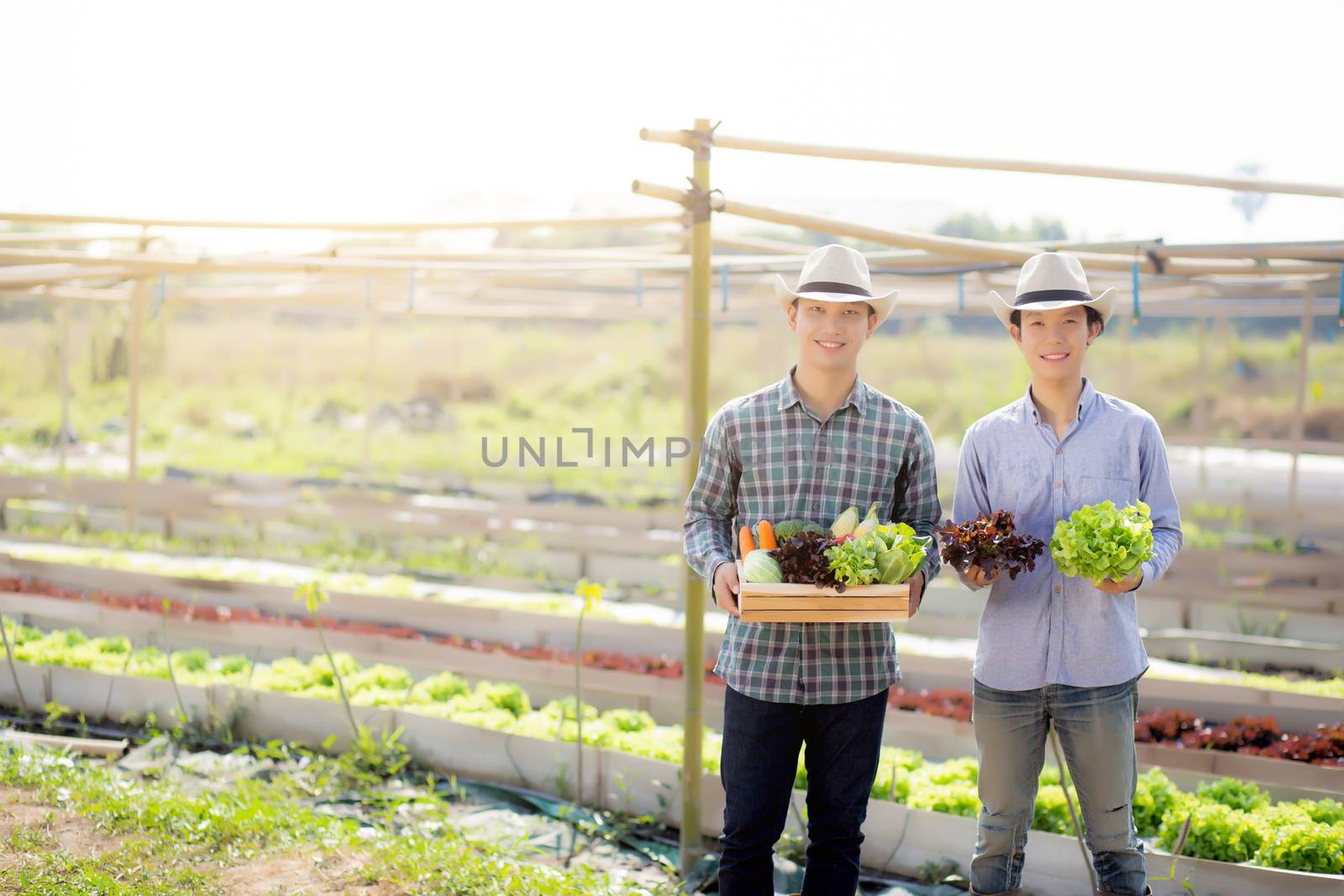 Beautiful portrait young two man harvest and picking up fresh or by nnudoo