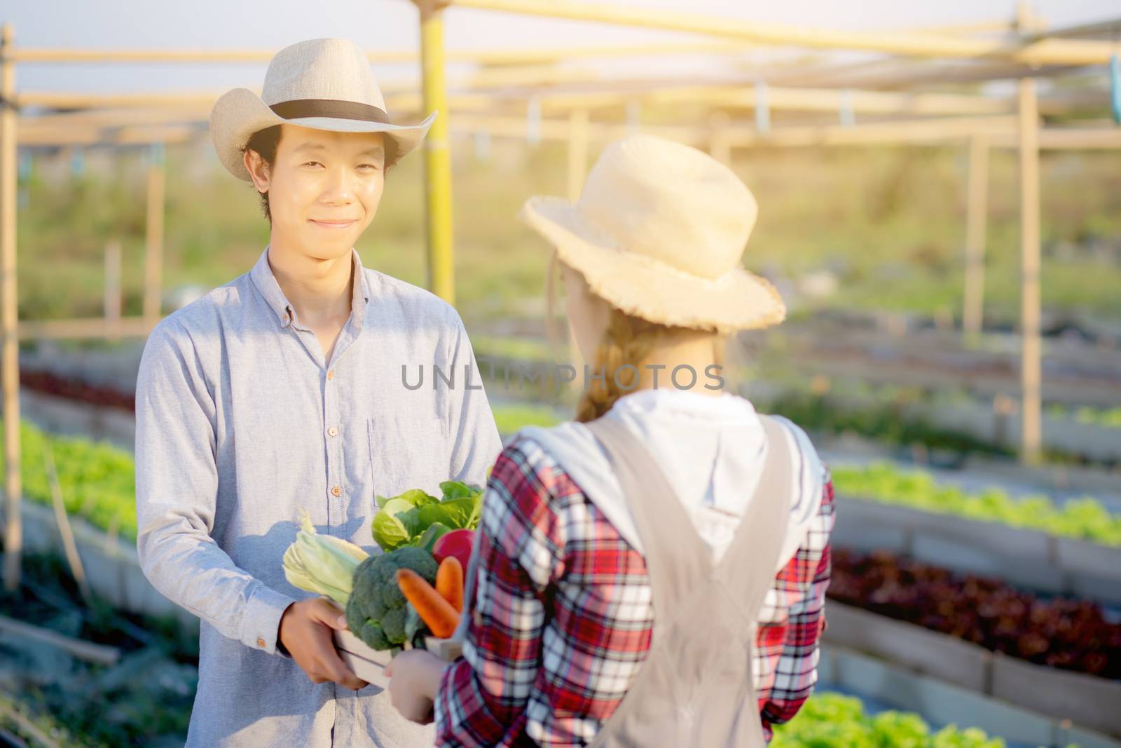 Beautiful young asian woman and man holding fresh organic vegetable with basket together in the hydroponic farm, harvest and agriculture and cultivation for healthy food and business concept.