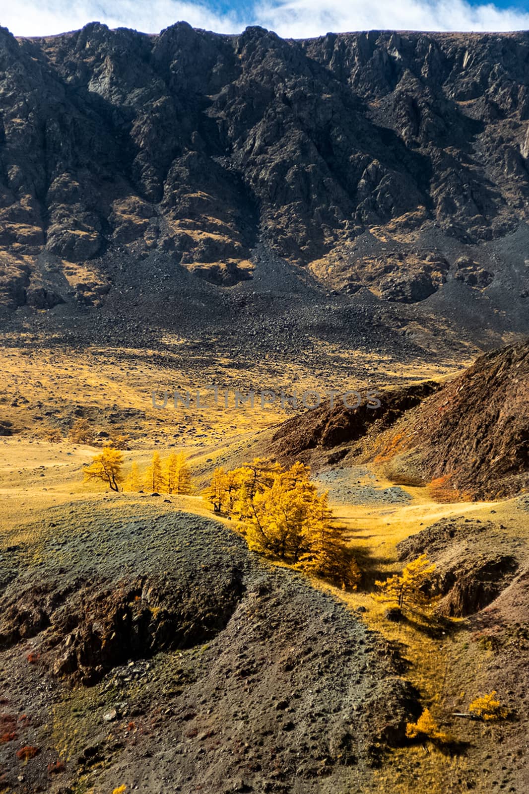 The altai mountains. landscape of nature on the Altai mountains and in the gorges between the mountains. by DePo