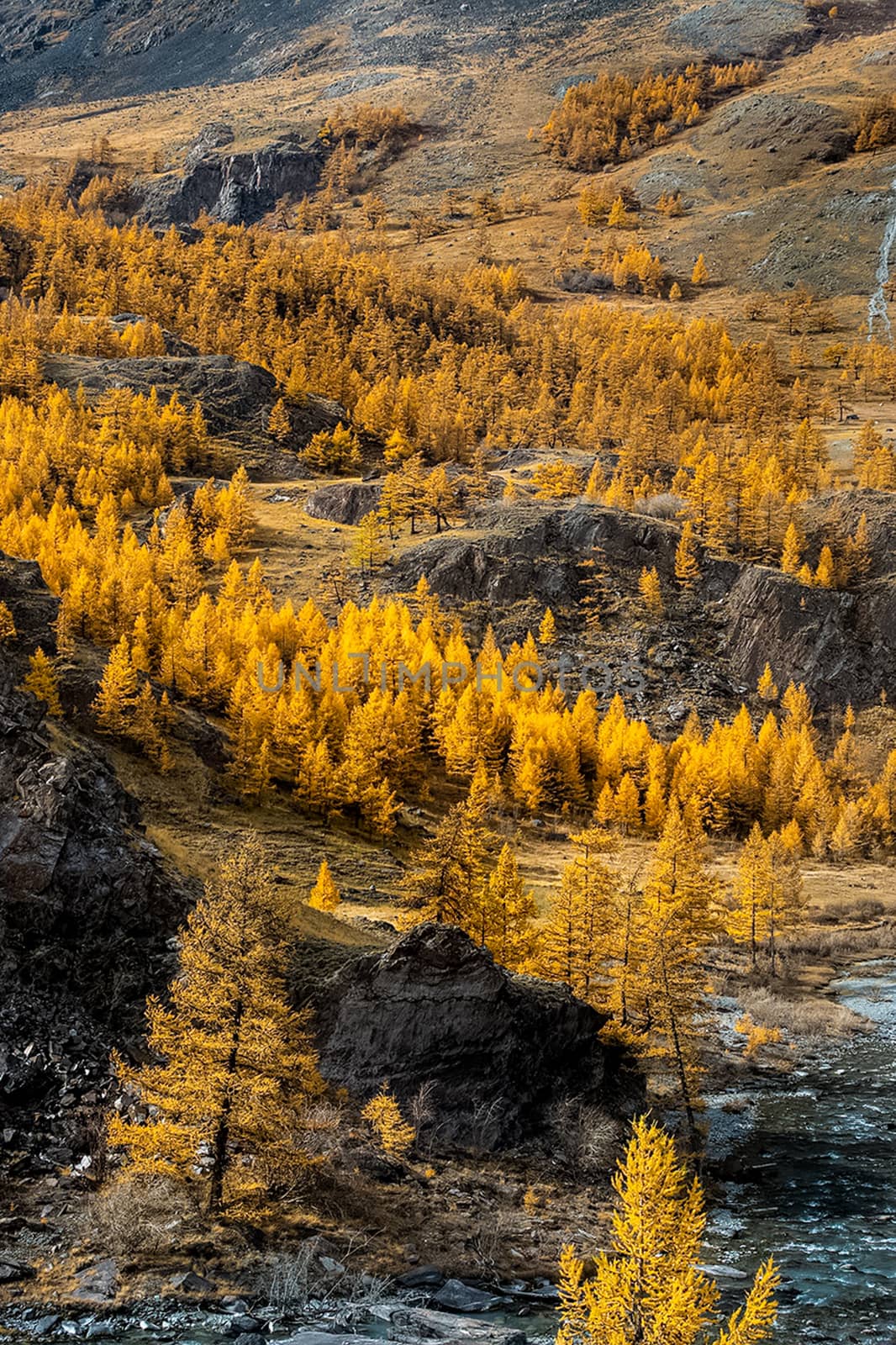 The altai mountains. The landscape of nature on the Altai mountains and in the gorges between the mountains.