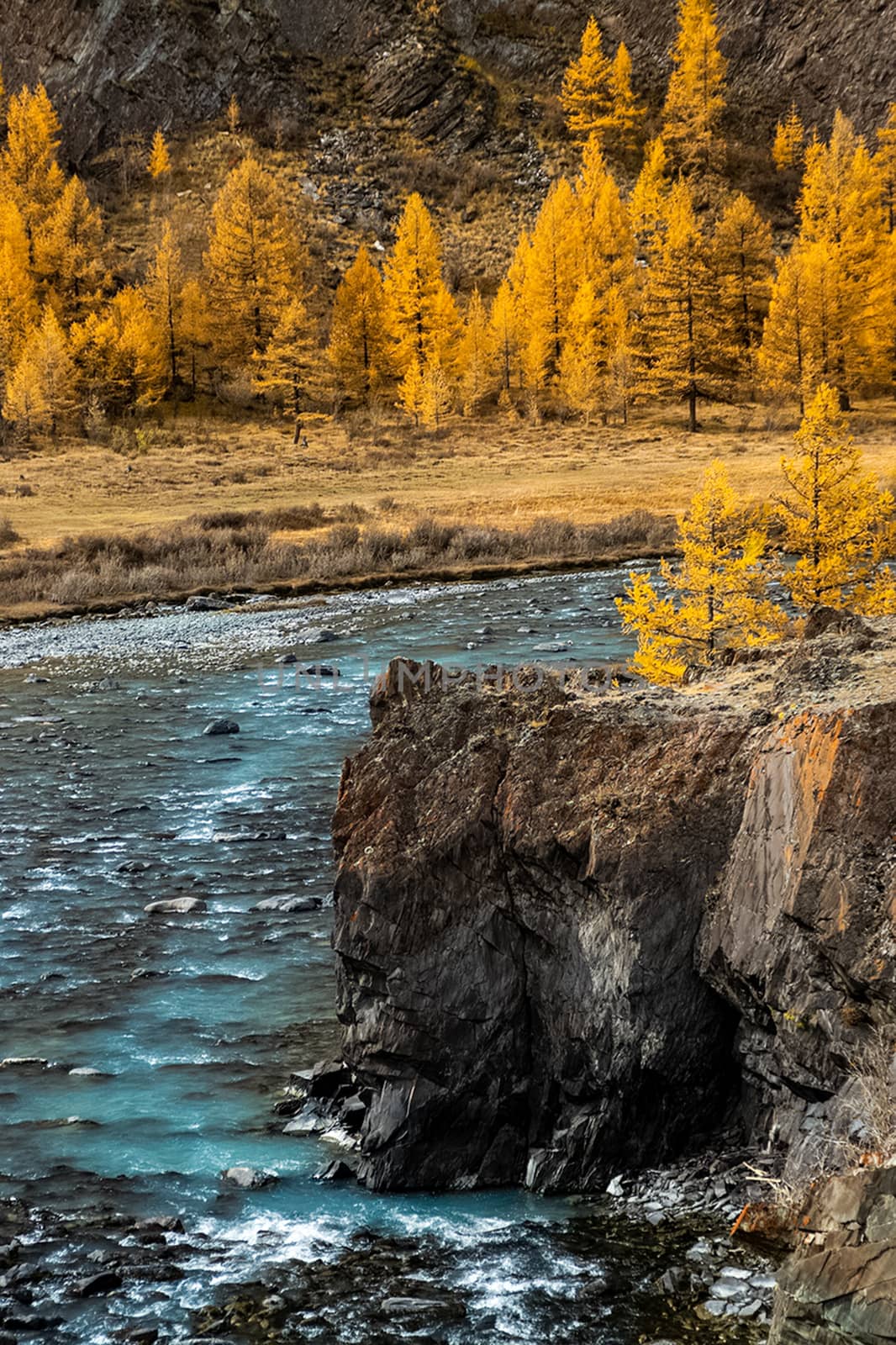 The altai mountains. The landscape of nature on the Altai mountains and in the gorges between the mountains.