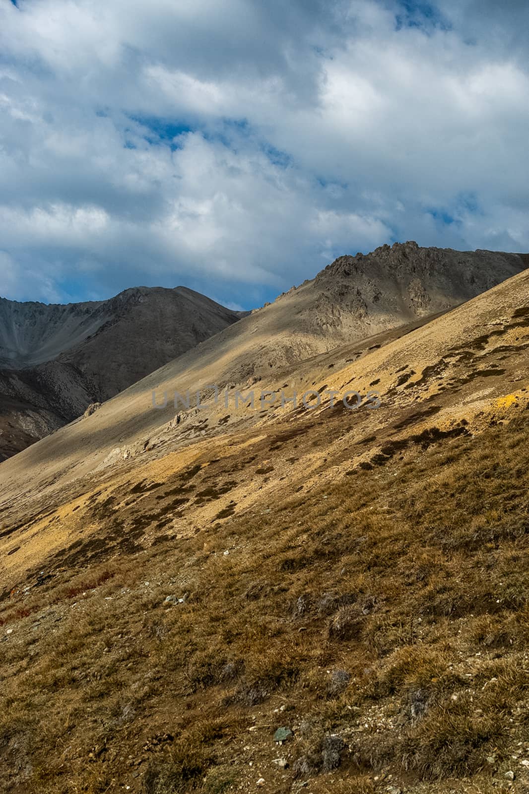 The altai mountains. landscape of nature on the Altai mountains and in the gorges between the mountains. by DePo